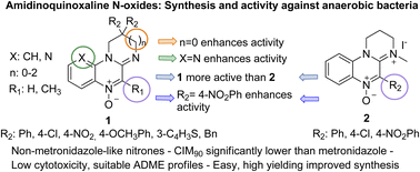Graphical abstract: Amidinoquinoxaline N-oxides: synthesis and activity against anaerobic bacteria