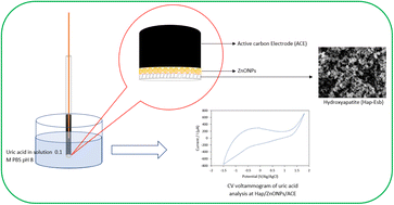 Graphical abstract: A novel non-enzymatic electrochemical uric acid sensing method based on nanohydroxyapatite from eggshell biowaste immobilized on a zinc oxide nanoparticle modified activated carbon electrode (Hap-Esb/ZnONPs/ACE)