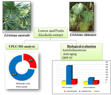 Graphical abstract: Metabolic profiling and biological activity of two Livistona species: L. chinensis and L. australis