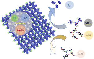 Graphical abstract: Green preparation of silver nanocluster composite AgNCs@CF-g-PAA and its application: 4-NP catalytic reduction and hydrogen production