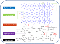 Graphical abstract: Using deep eutectic solvent dissolved low-value cotton linter based efficient magnetic adsorbents for heavy metal removal