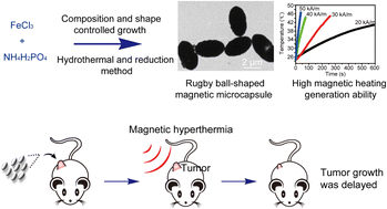 Graphical abstract: Rugby ball-shaped magnetic microcapsule for tumor hyperthermia