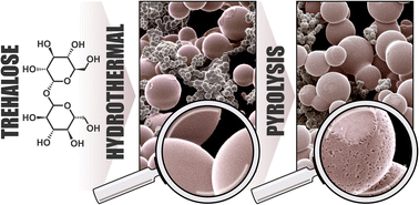 Graphical abstract: Hard carbon microspheres with bimodal size distribution and hierarchical porosity via hydrothermal carbonization of trehalose