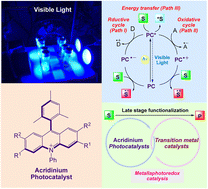 Graphical abstract: Visible-light acridinium-based organophotoredox catalysis in late-stage synthetic applications