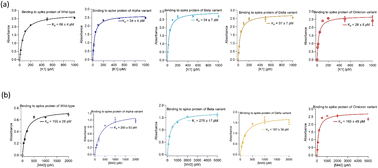 Graphical abstract: Development of high affinity broadly reactive aptamers for spike protein of multiple SARS-CoV-2 variants