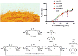 Graphical abstract: Curcumin nanoparticles: physicochemical fabrication, characterization, antioxidant, enzyme inhibition, molecular docking and simulation studies
