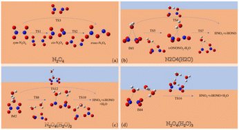 Graphical abstract: Isomerization and reaction process of N2O4(H2O)n