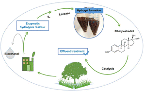 Graphical abstract: Lignocellulosic residues from bioethanol production: a novel source of biopolymers for laccase immobilization
