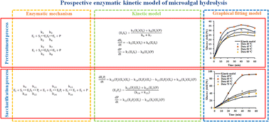 Graphical abstract: Mechanism and kinetic model of microalgal enzymatic hydrolysis for prospective bioethanol conversion