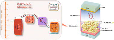 Graphical abstract: Delafossite CuCoO2/ZnO derived from ZIF-8 heterojunctions as efficient photoelectrodes for dye-sensitized solar cells