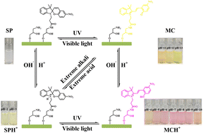 Graphical abstract: Light and pH dual-responsive spiropyran-based cellulose nanocrystals