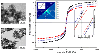 Graphical abstract: Microstructure, ion adsorption and magnetic behavior of mesoporous γ-Fe2O3 ferrite nanoparticles
