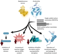 Graphical abstract: Fighting bacterial pathogens with carbon nanotubes: focused review of recent progress