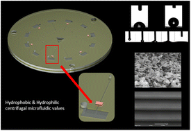 Graphical abstract: Direct laser writing of hydrophobic and hydrophilic valves in the same material applied to centrifugal microfluidics