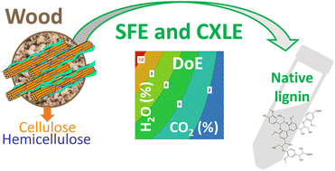 Graphical abstract: Native lignin extraction from soft- and hardwood by green and benign sub/supercritical fluid extraction methodologies