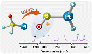 Graphical abstract: A sulfur monoxide complex of platinum fluoride with a positively charged ligand