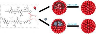 Graphical abstract: Gemini surfactant-like peptide-based nanocages with β-sheet-enhanced stability and encapsulation efficiency of hydrophobic anticancer drugs