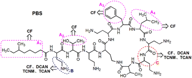 Graphical abstract: Formation of typical disinfection by-products (DBPs) during chlorination and chloramination of polymyxin B sulfate