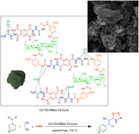 Graphical abstract: Supramolecular Cu(ii) nanoparticles supported on a functionalized chitosan containing urea and thiourea bridges as a recoverable nanocatalyst for efficient synthesis of 1H-tetrazoles