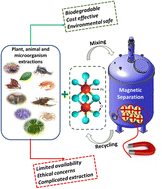 Graphical abstract: Natural-based coagulants/flocculants as sustainable market-valued products for industrial wastewater treatment: a review of recent developments