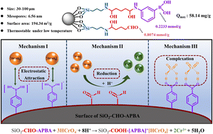 Graphical abstract: Preparation of a phenylboronic acid and aldehyde bi-functional group modified silica absorbent and applications in removing Cr(vi) and reducing to Cr(iii)