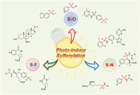 Graphical abstract: Visible-light-driven reactions for the synthesis of sulfur dioxide-inserted compounds: generation of S–F, S–O, and S–N bonds