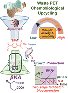 Graphical abstract: β-Ketoadipic acid production from poly(ethylene terephthalate) waste via chemobiological upcycling