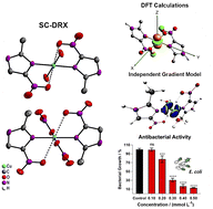 Graphical abstract: A new approach to study semi-coordination using two 2-methyl-5-nitroimidazole copper(ii) complexes of biological interest as a model system