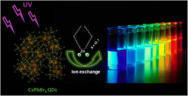 Graphical abstract: Real-time observation of ion exchange dynamics during surface treatment of all-inorganic perovskite quantum dots with Zn-halogenide complexes for color tuning and enhanced quantum efficiency