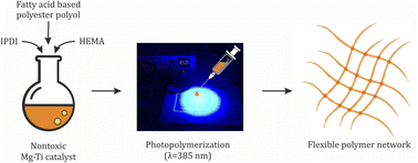 Graphical abstract: Injectable and photocurable macromonomers synthesized using a heterometallic magnesium–titanium metal–organic catalyst for elastomeric polymer networks