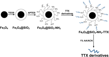 Graphical abstract: Recovery of tetrodotoxin from pufferfish viscera extract by amine-functionalized magnetic nanocomposites