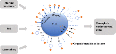 Graphical abstract: Sources, distribution, and environmental effects of microplastics: a systematic review