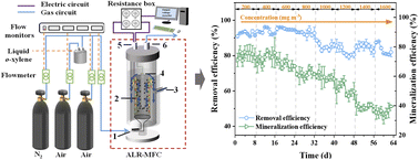 Graphical abstract: Boosting o-xylene removal and power generation in an airlift microbial fuel cell system