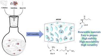 Graphical abstract: Subtilisin integrated artificial plant cell walls as heterogeneous catalysts for asymmetric synthesis of (S)-amides