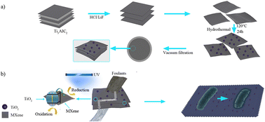 Graphical abstract: In situ oxidized TiO2/MXene ultrafiltration membrane with photocatalytic self-cleaning and antibacterial properties