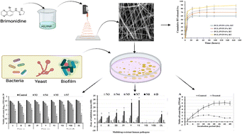 Graphical abstract: Novel long-acting brimonidine tartrate loaded-PCL/PVP nanofibers for versatile biomedical applications: fabrication, characterization and antimicrobial evaluation