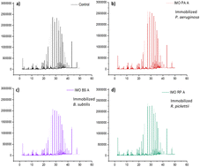 Graphical abstract: The application of biosurfactant-producing bacteria immobilized in PVA/SA/bentonite bio-composite for hydrocarbon-contaminated soil bioremediation