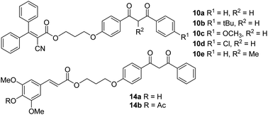 Graphical abstract: Synthesis and characterisation of novel composite sunscreens containing both avobenzone and octocrylene motifs