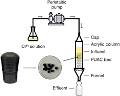 Graphical abstract: Coconut power: a sustainable approach for the removal of Cr6+ ions using a new coconut-based polyurethane foam/activated carbon composite in a fixed-bed column