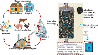 Graphical abstract: Sequestration of steroidal estrogen in aqueous samples using an adsorption mechanism: a systemic scientometric review