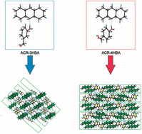 Graphical abstract: Structural diversity of cocrystals formed from acridine and two isomers of hydroxybenzaldehyde: 3-hydroxybenzaldehyde and 4-hydroxybenzaldehyde