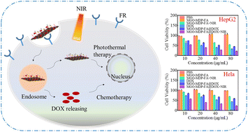 Graphical abstract: Folic acid–maltodextrin polymer coated magnetic graphene oxide as a NIR-responsive nano-drug delivery system for chemo-photothermal synergistic inhibition of tumor cells