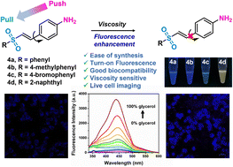 Graphical abstract: Unraveling the photophysical characteristics and biological applications of vinyl sulfones as viscosity sensors