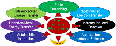 Graphical abstract: Recent advances in fluorescent materials for mercury(ii) ion detection