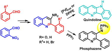 Graphical abstract: Efficient Buchwald–Hartwig and nitrene-mediated five-membered ring closure approaches to the total synthesis of quindoline. Unexpected direct conversion of a nitro group into a phosphazene