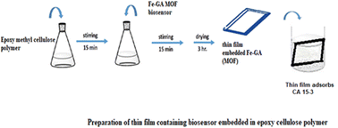 Graphical abstract: Novel sensor for the determination of CA 15-3 in serum of breast cancer patients based on Fe–gallic acid complex doped in modified cellulose polymer thin films