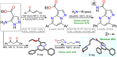 Graphical abstract: Synthesis of structural analogues of Reversan by ester aminolysis: an access to pyrazolo[1,5-a]pyrimidines from chalcones