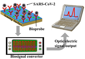 Graphical abstract: Nano-biosensor for SARS-CoV-2/COVID-19 detection: methods, mechanism and interface design