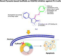 Graphical abstract: Design, synthesis, and docking studies of novel pyrazole-based scaffolds and their evaluation as VEGFR2 inhibitors in the treatment of prostate cancer