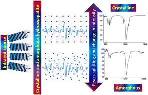 Graphical abstract: FTIR spectrum analysis to predict the crystalline and amorphous phases of hydroxyapatite: a comparison of vibrational motion to reflection